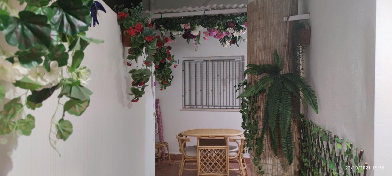 Tus Vacaciones En El Corazon De Alicante! Екстер'єр фото